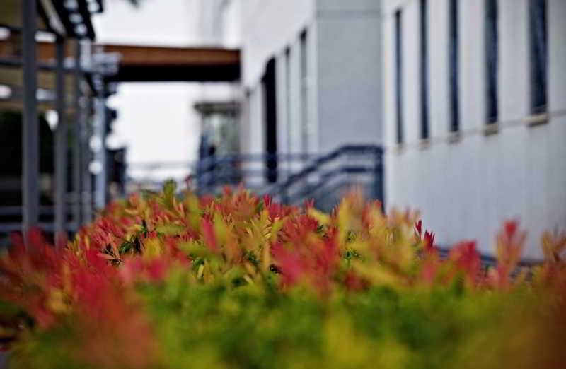 Apartamentos Vertice Sevilla Aljarafe Bormujos Exteriör bild